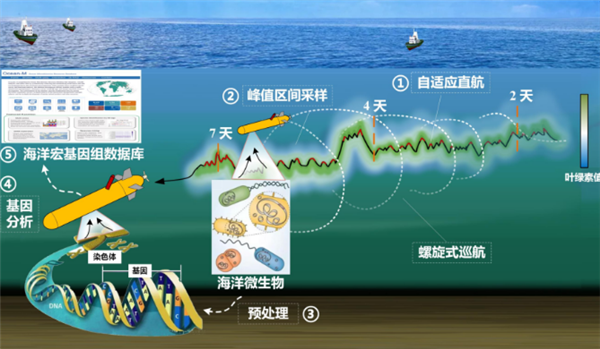 我国首台！深海微生物原位采样自主水下航行器研制成功